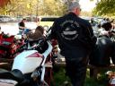 Sorties 2008